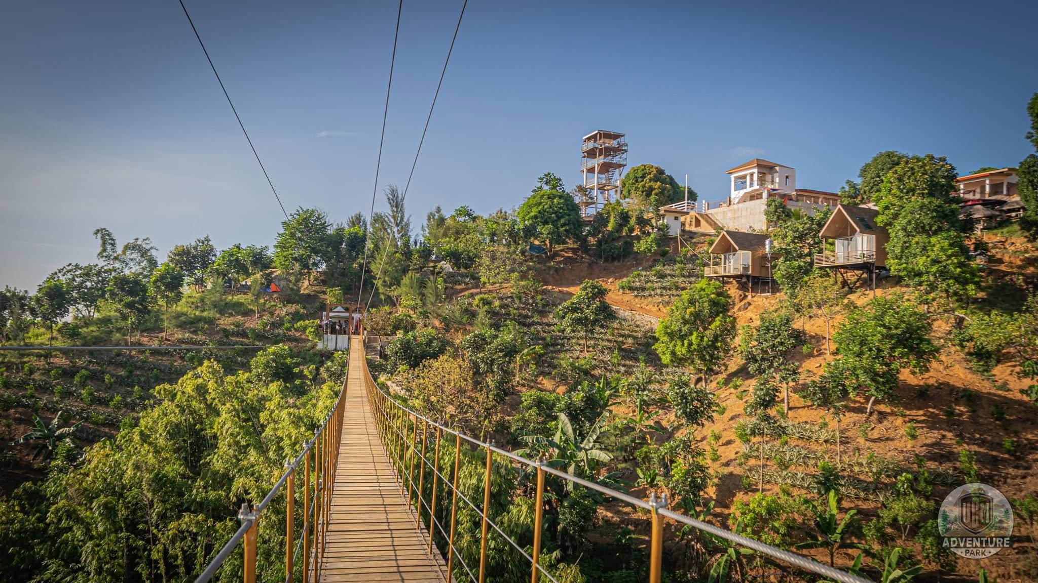 Person crossing a suspension bridge surrounded by forest